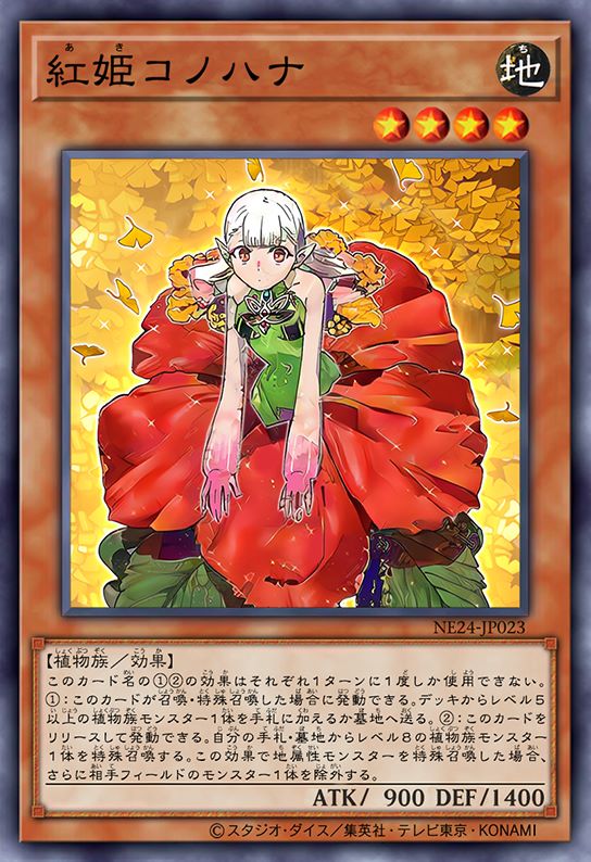 红姬 木花