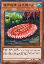 远古造物 狄更逊水母