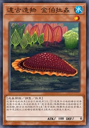 远古造物 金伯拉虫