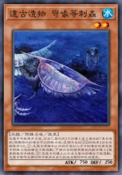 远古造物 弯喙等刺虫