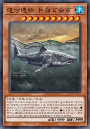 远古造物 巨齿耳齿鲨